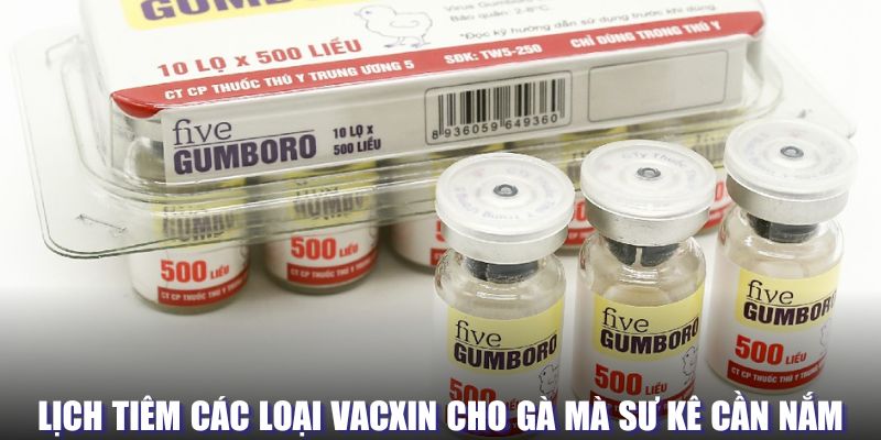 Lịch tiêm các loại vacxin cho gà