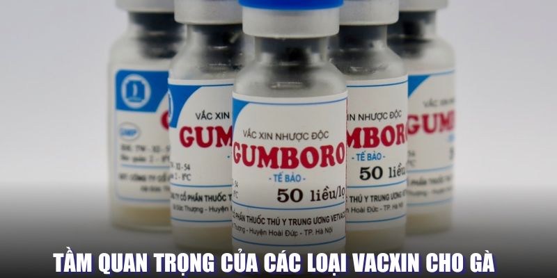 Tầm quan trọng của các loại vắc xin