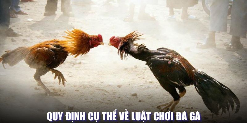 Luật chơi đá gà cơ bản